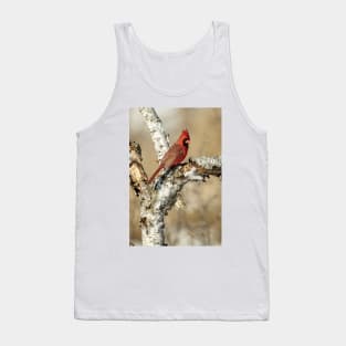 Cardinal On Birch Branch Tank Top